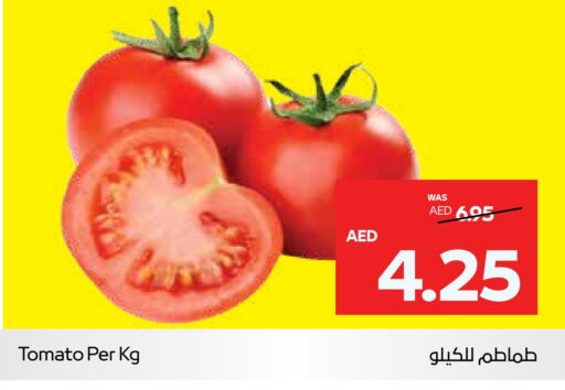  Tomato  in Abu Dhabi COOP in UAE - Al Ain