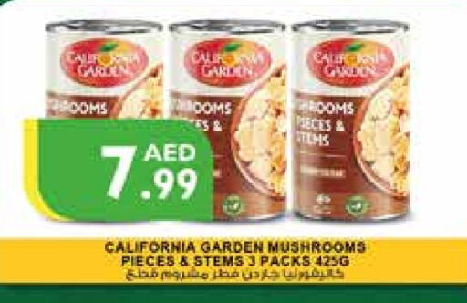 CALIFORNIA GARDEN   in Istanbul Supermarket in UAE - Al Ain