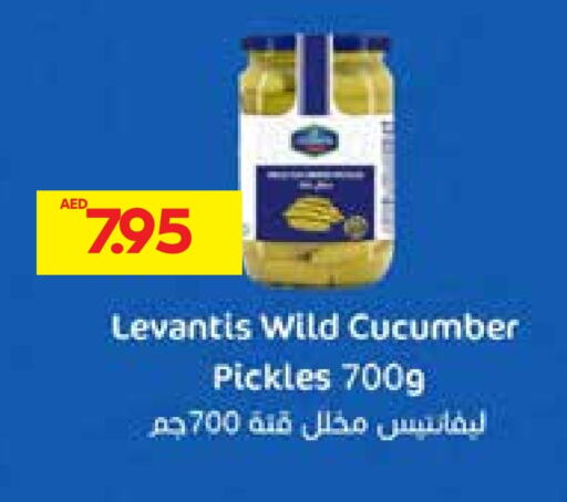  Pickle  in Abu Dhabi COOP in UAE - Al Ain