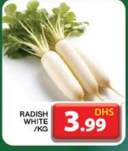 Radish