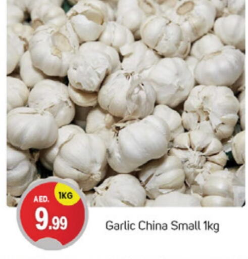 Garlic