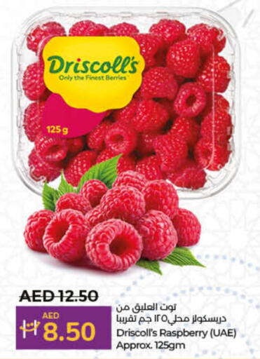  Berries  in Lulu Hypermarket in UAE - Dubai