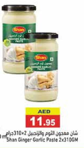 SHAN Garlic Paste  in Aswaq Ramez in UAE - Sharjah / Ajman