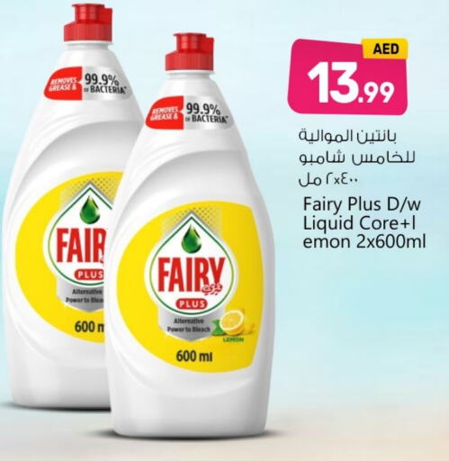 FAIRY   in BIGmart in UAE - Abu Dhabi