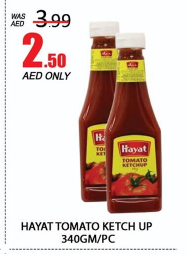 HAYAT Tomato Ketchup  in Al Madina  in UAE - Dubai