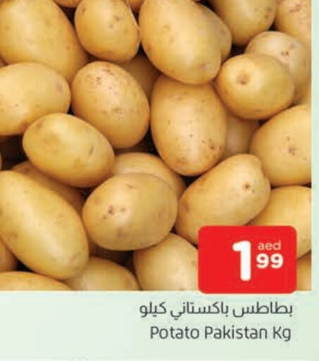  Potato  in AL MADINA in UAE - Sharjah / Ajman