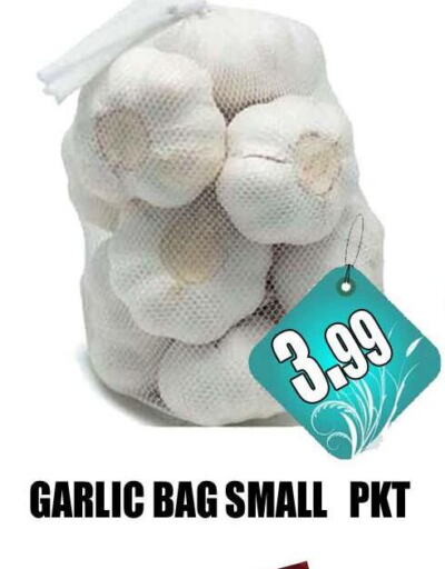 Garlic