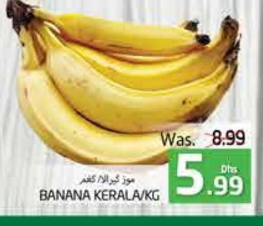  Banana  in PASONS GROUP in UAE - Al Ain