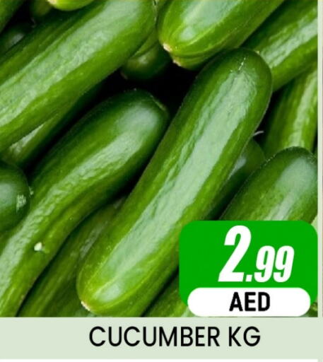  Cucumber  in Al Madina  in UAE - Dubai