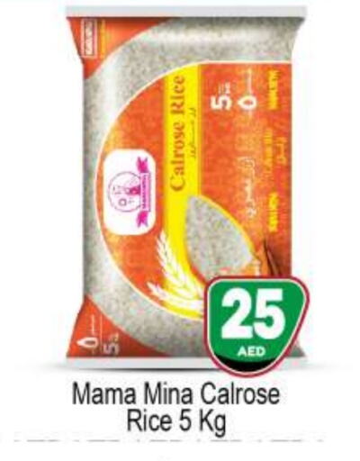  Calrose Rice  in BIGmart in UAE - Abu Dhabi