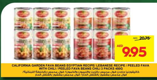 HEINZ Fava Beans  in Abu Dhabi COOP in UAE - Al Ain