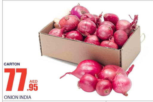  Onion  in Bismi Wholesale in UAE - Dubai