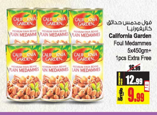 CALIFORNIA GARDEN Fava Beans  in Ansar Gallery in UAE - Dubai