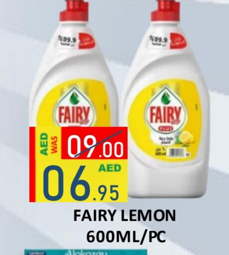 FAIRY   in ROYAL GULF HYPERMARKET LLC in UAE - Abu Dhabi