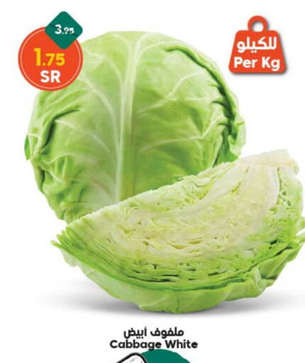  Cabbage  in Dukan in KSA, Saudi Arabia, Saudi - Jeddah