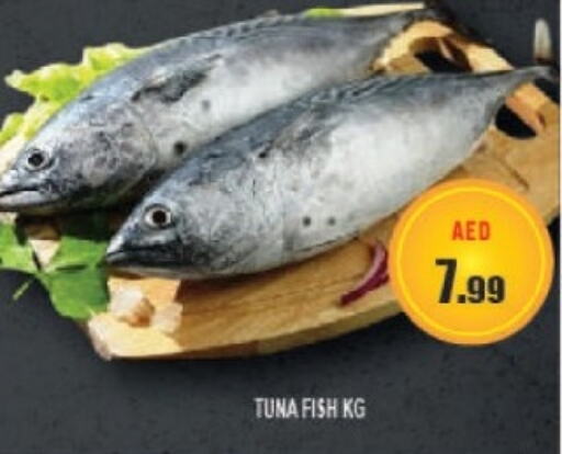  Tuna  in Azhar Al Madina Hypermarket in UAE - Abu Dhabi