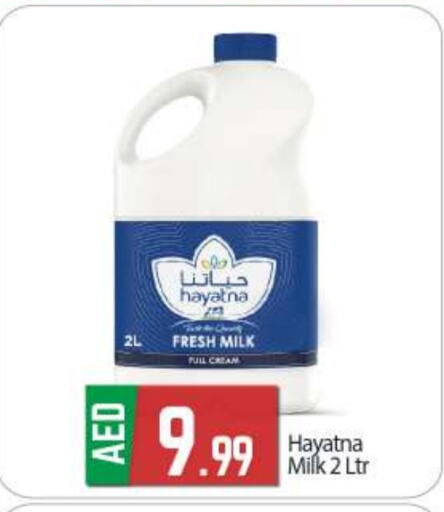 HAYATNA Fresh Milk  in BIGmart in UAE - Abu Dhabi