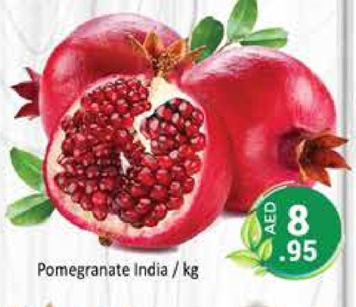  Pomegranate  in PASONS GROUP in UAE - Dubai