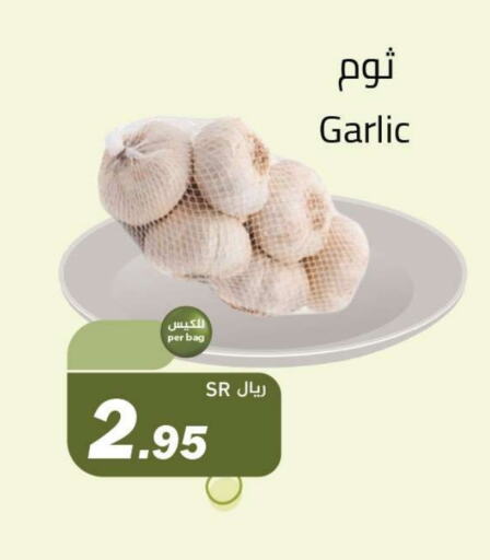 Garlic