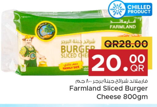  Slice Cheese  in Family Food Centre in Qatar - Al Khor