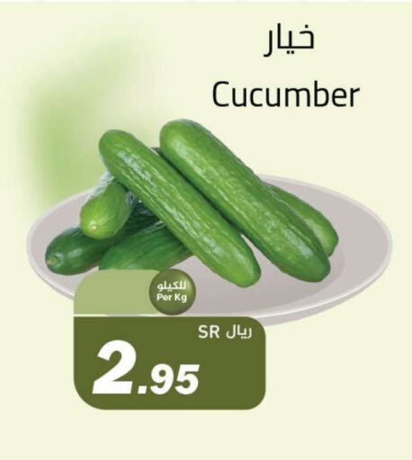 Cucumber