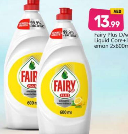 FAIRY   in BIGmart in UAE - Abu Dhabi