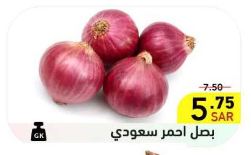 Onion