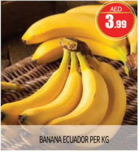  Banana  in BIGmart in UAE - Abu Dhabi