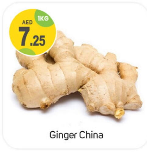  Ginger  in TALAL MARKET in UAE - Dubai