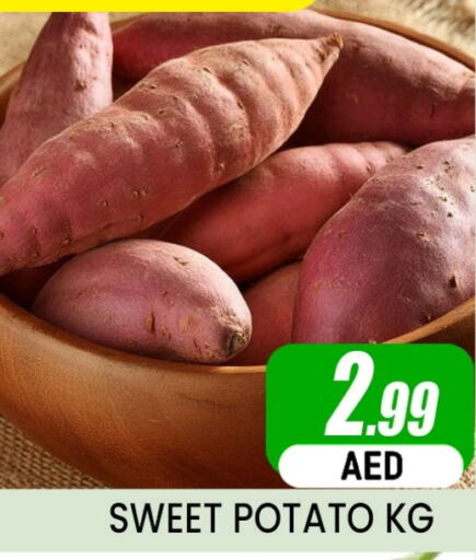  Sweet Potato  in Al Madina  in UAE - Dubai