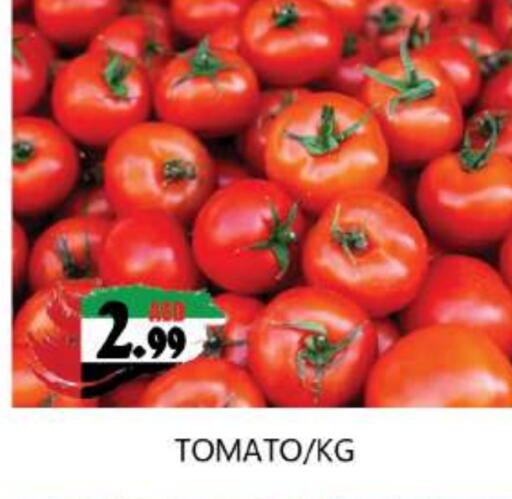  Tomato  in Souk Al Mubarak Hypermarket in UAE - Sharjah / Ajman