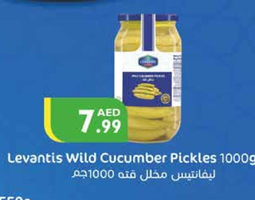  Pickle  in Istanbul Supermarket in UAE - Al Ain