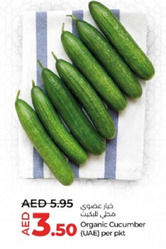  Cucumber  in Lulu Hypermarket in UAE - Al Ain