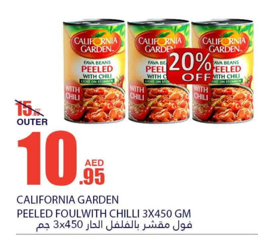 CALIFORNIA GARDEN Fava Beans  in Bismi Wholesale in UAE - Fujairah