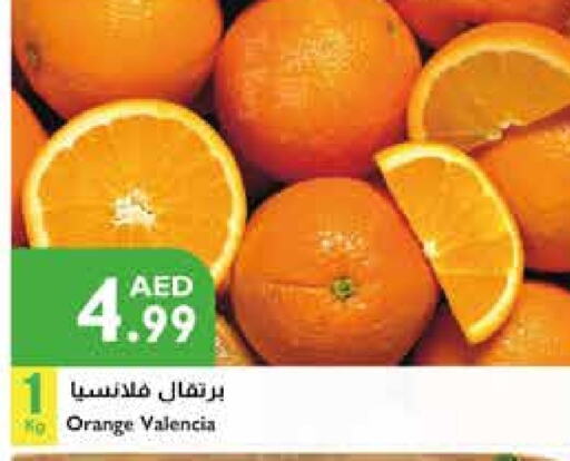  Orange  in Istanbul Supermarket in UAE - Al Ain