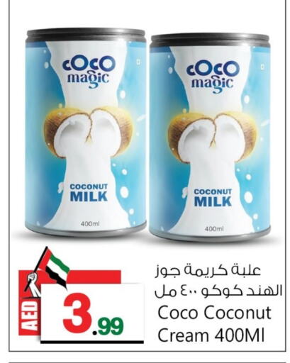  Coconut Milk  in BIGmart in UAE - Abu Dhabi