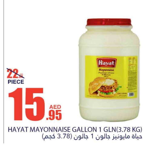 HAYAT Mayonnaise  in Bismi Wholesale in UAE - Fujairah