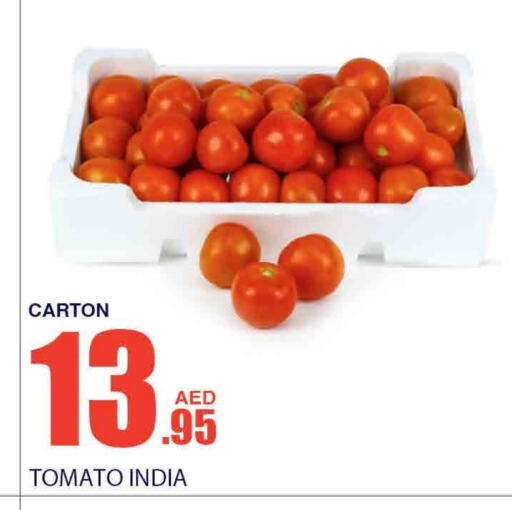  Tomato  in Bismi Wholesale in UAE - Dubai