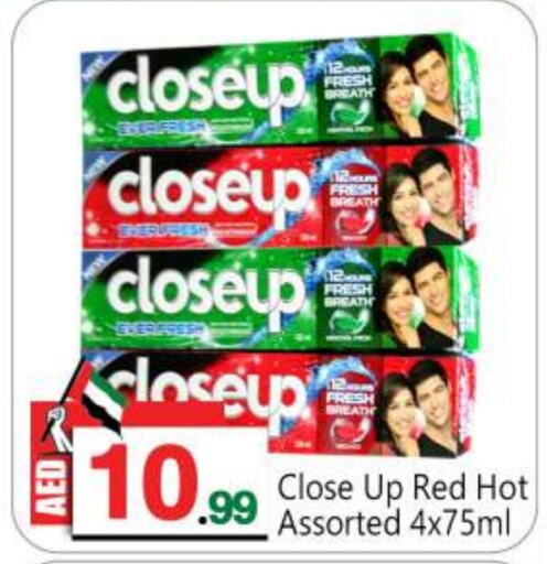 CLOSE UP Toothpaste  in BIGmart in UAE - Dubai