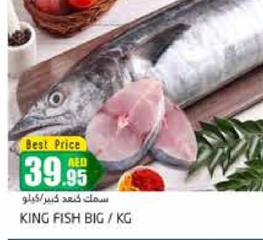  King Fish  in PASONS GROUP in UAE - Dubai