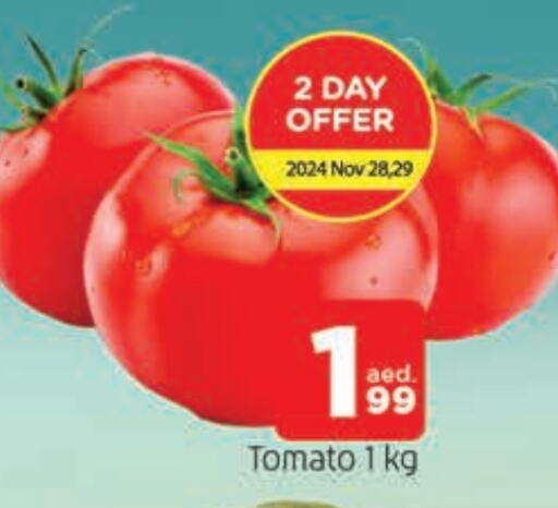  Tomato  in AL MADINA in UAE - Sharjah / Ajman