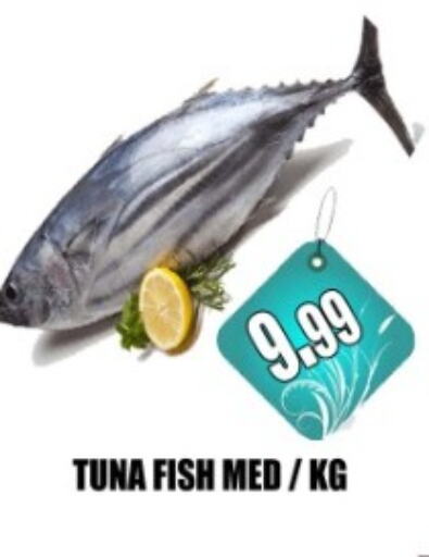 Tuna