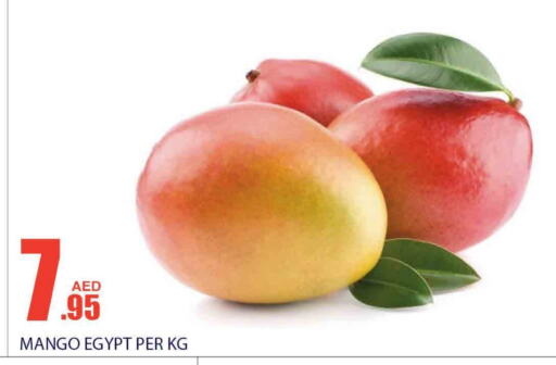 Mango Mangoes  in Bismi Wholesale in UAE - Dubai