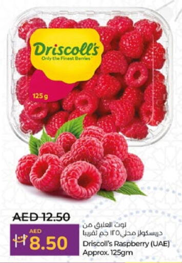  Berries  in Lulu Hypermarket in UAE - Al Ain