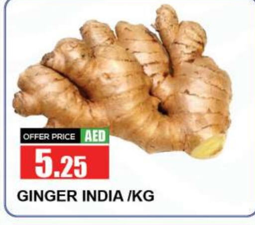 Ginger