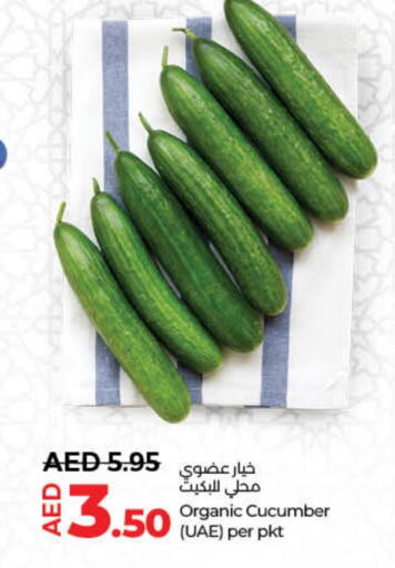  Cucumber  in Lulu Hypermarket in UAE - Dubai