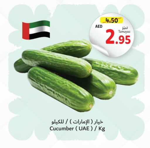  Cucumber  in Union Coop in UAE - Dubai