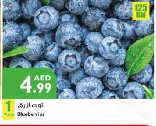  Berries  in Istanbul Supermarket in UAE - Al Ain