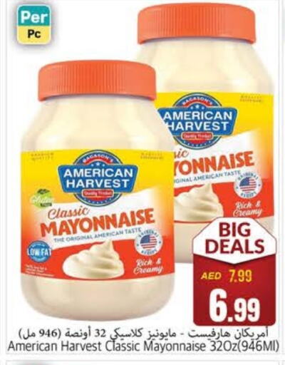 AMERICAN HARVEST Mayonnaise  in PASONS GROUP in UAE - Fujairah