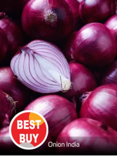  Onion  in TALAL MARKET in UAE - Sharjah / Ajman